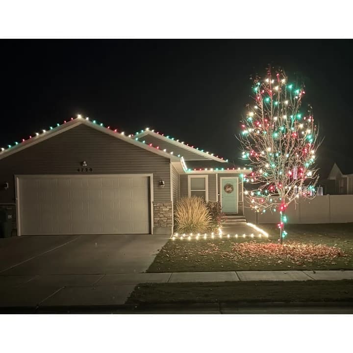 C9 LED lighting across rooflines and outdoor trees for municipal display planning